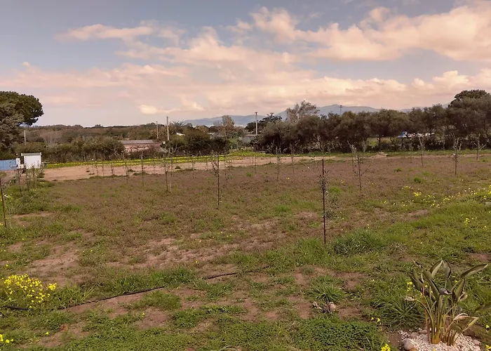 Apartment Mare Valledoria (Sardinia)